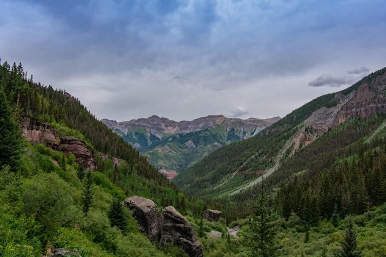 Protecting Our Environment for Future Generations